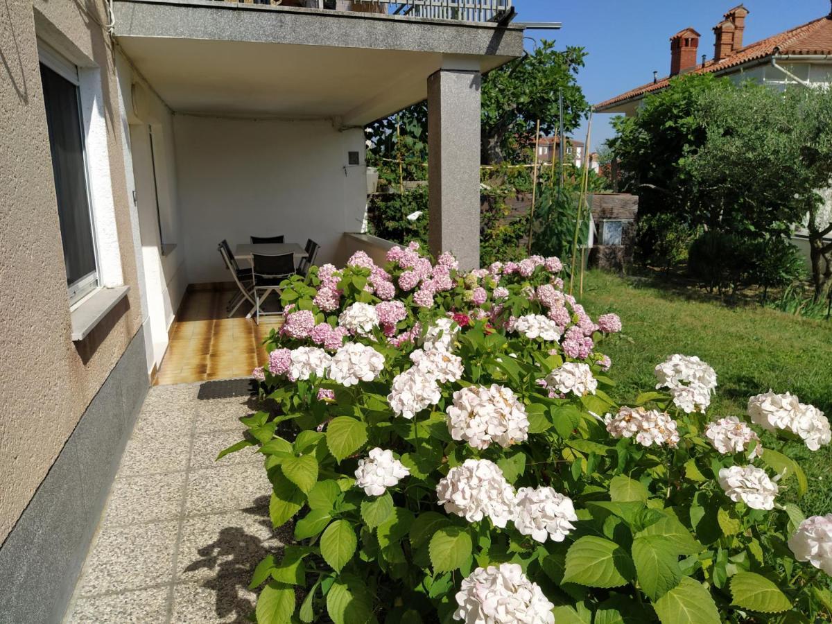 Apartments Buket Jagodje Εξωτερικό φωτογραφία