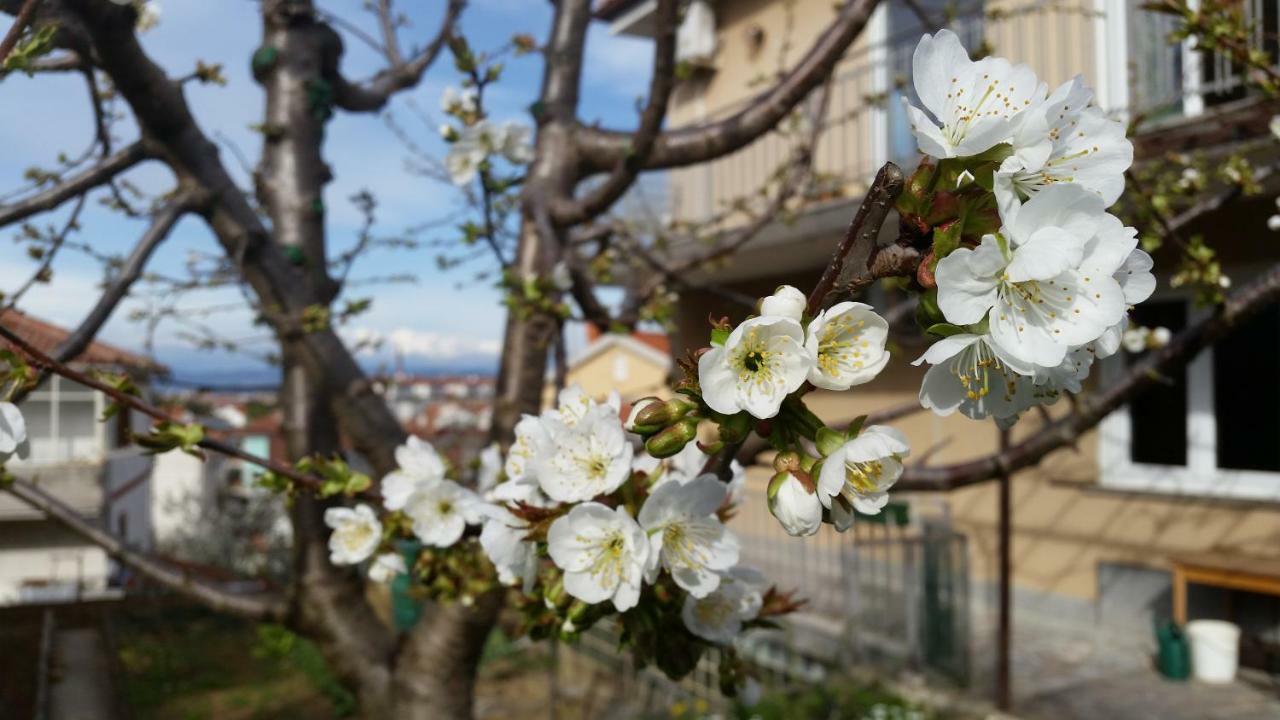 Apartments Buket Jagodje Εξωτερικό φωτογραφία